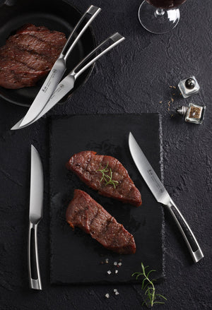 
                  
                    Load image into Gallery viewer, Cangshan TN1 Series 4-Piece Steak Knife Set, Forged Swedish Steel
                  
                